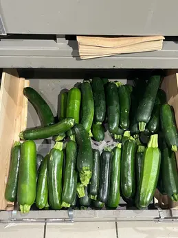 Courgettes