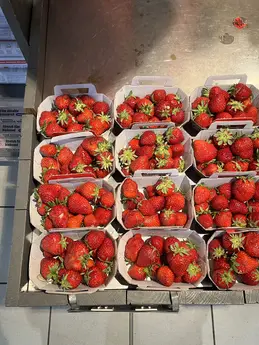 Fraises