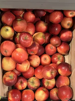 Pommes