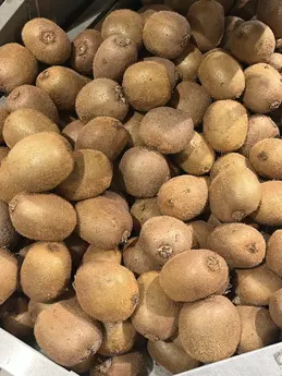 Kiwis verts