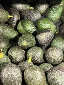 Avocats