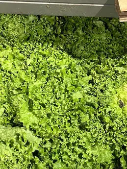 Salade