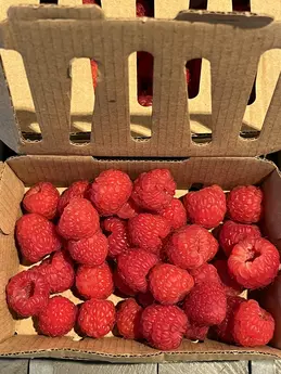 Framboises