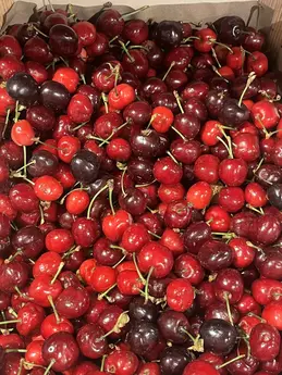 Cerises