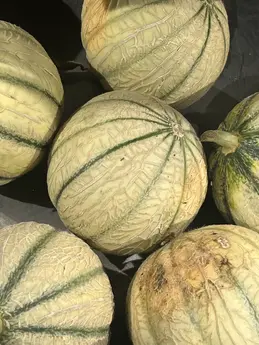 Melons